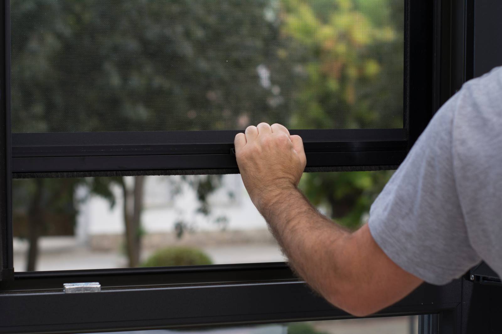 Moustiquaires sur-mesure à Ambérieu-en-Bugey - Windows ouvertures